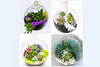 Plant Nite: Hanging Orb - Pick Your Design